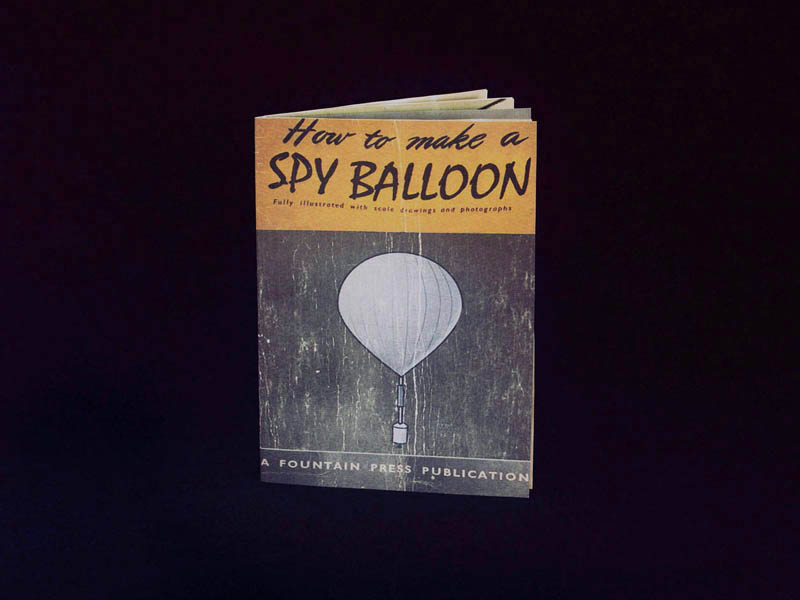 Images: Birds Fly Low