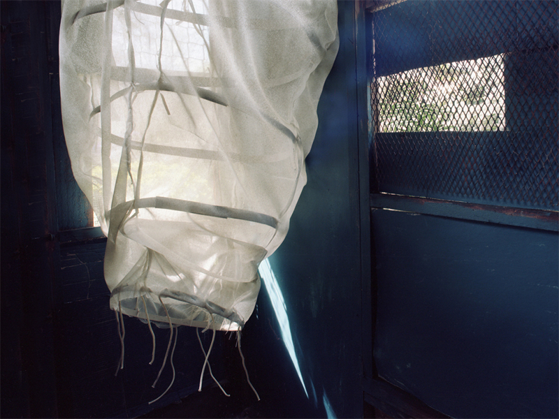 Annabel Elgar, Birds Fly Low