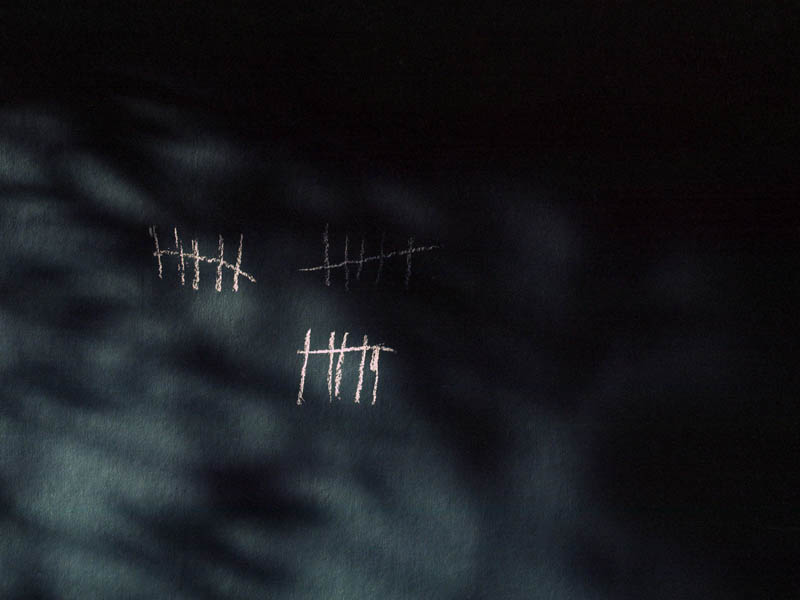 Annabel Elgar, Birds Fly Low