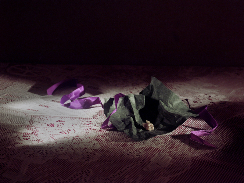 Annabel Elgar, Birds Fly Low