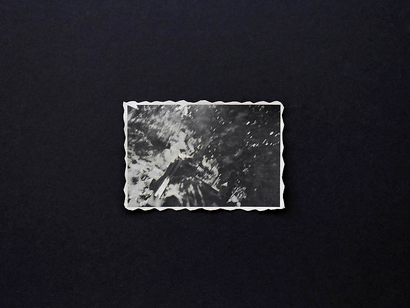 Annabel Elgar, Birds Fly Low