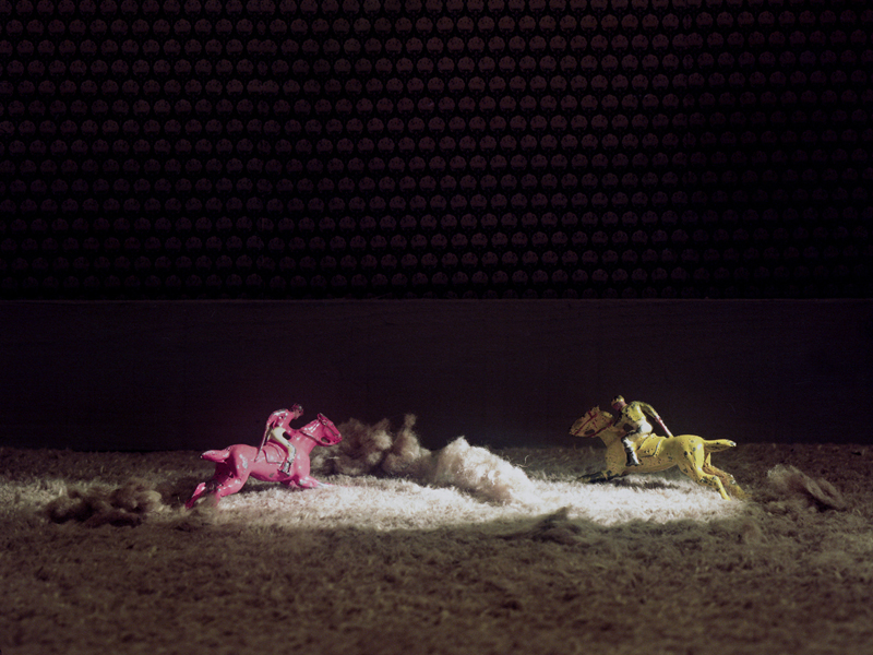 Annabel Elgar, Birds Fly Low