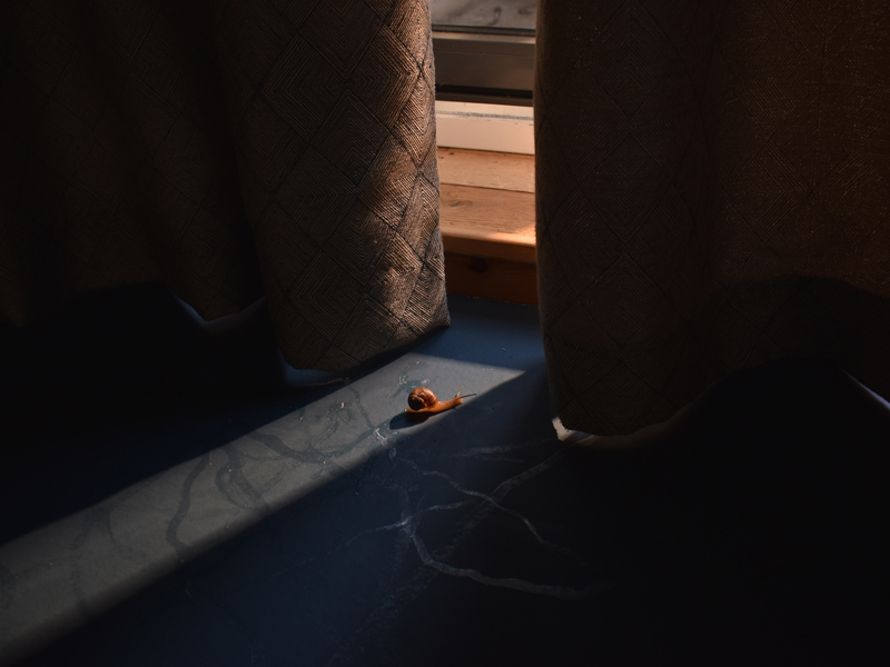 Annabel Elgar, Birds Fly Low