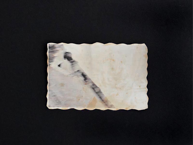 Annabel Elgar, Birds Fly Low