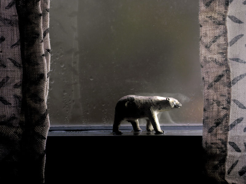 Annabel Elgar, Birds Fly Low