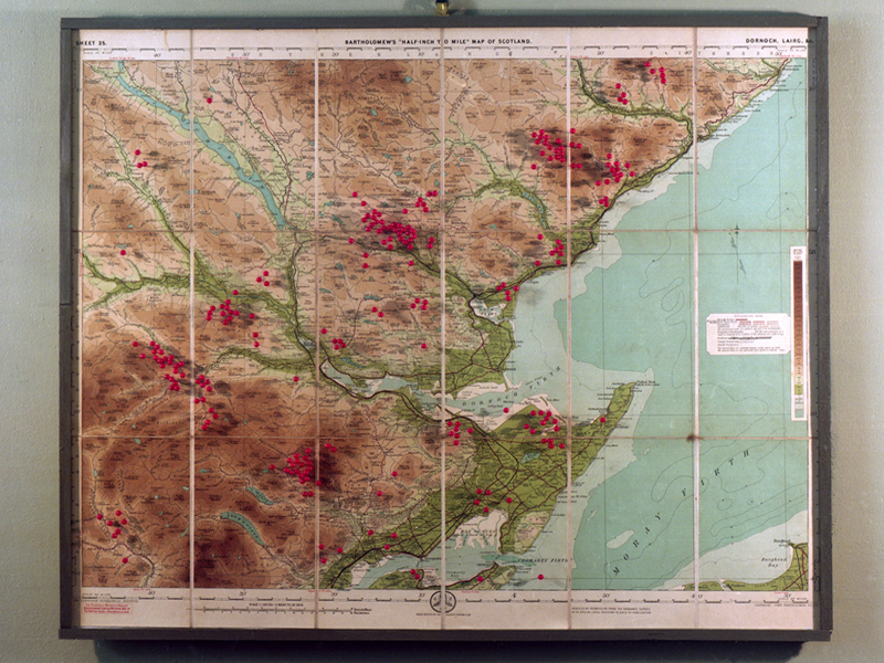 Annabel Elgar, Birds Fly Low