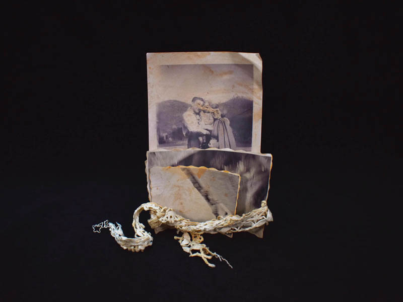 Annabel Elgar, Birds Fly Low