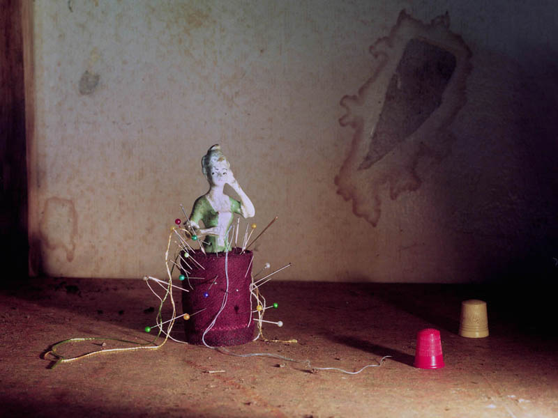 Annabel Elgar, Birds Fly Low