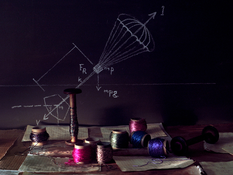 Annabel Elgar, Birds Fly Low