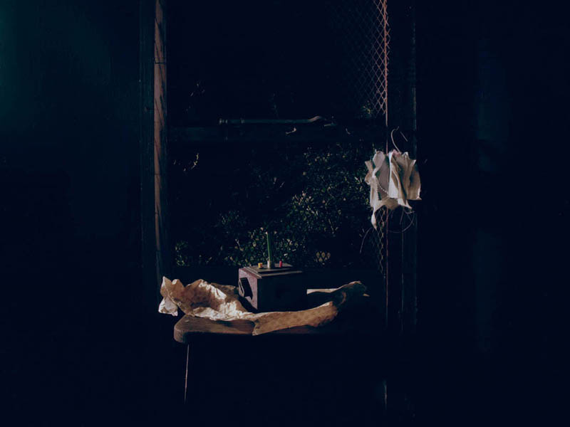 Annabel Elgar, Birds Fly Low